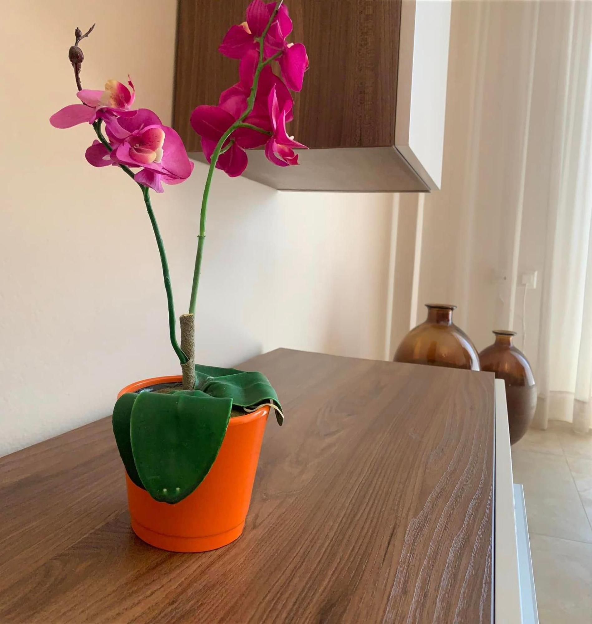カヴァラΑpartments Anna Deluxeアパートメント エクステリア 写真